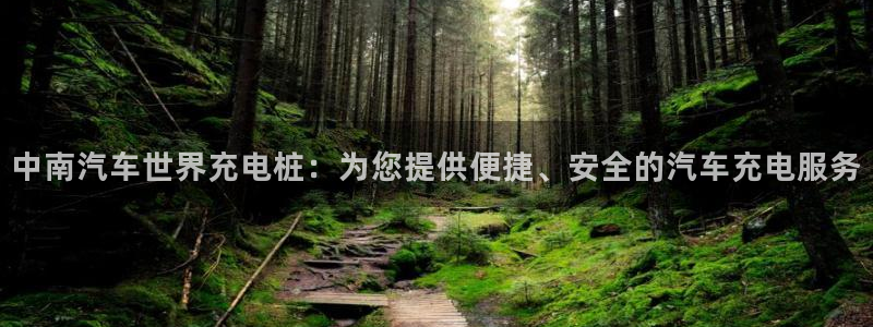 威廉体育官方app下载苹果手机：中南汽车世界充电桩：为您提供便捷、安全的汽车充电服务