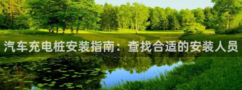 威廉国际平台介绍：汽车充电桩安装指南：查找合适的安装人员