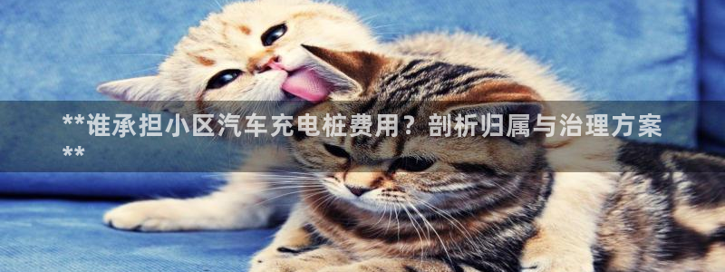 威廉指数公式：**谁承担小区汽车充电桩费用？剖析归属与治理方案
**