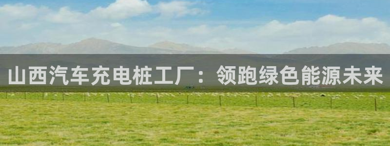 威廉希尔买入量从哪里看：山西汽车充电桩工厂：领跑绿色能源未来
