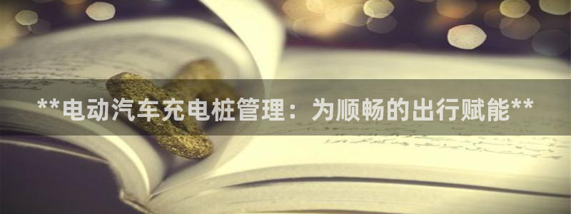 威廉希尔网站会不会取不了钱：**电动汽车充电桩管理：为顺畅的出行赋能**