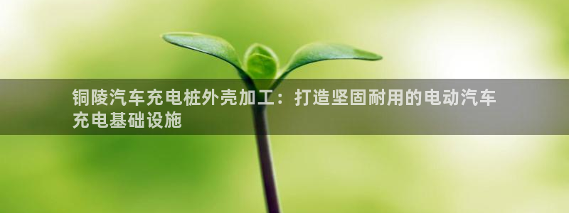 威廉希尔提现快吗：铜陵汽车充电桩外壳加工：打造坚固耐用的电动汽车
充电基础设施