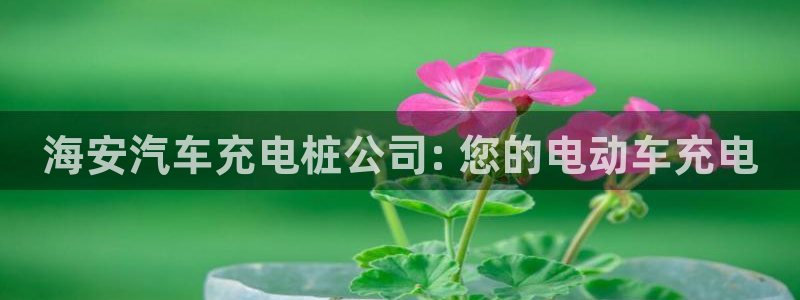 威廉希尔吧：海安汽车充电桩公司: 您的电动车充电