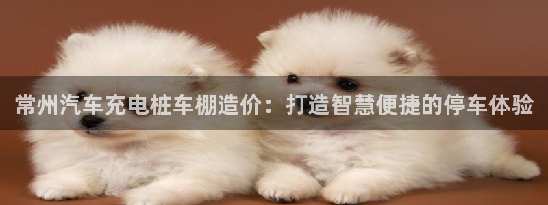 威廉指标的参数是多少：常州汽车充电桩车棚造价：打造智慧便捷的停车体验