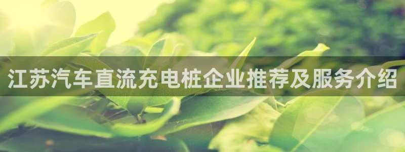 威廉斯国际娱乐网：江苏汽车直流充电桩企业推荐及服务介绍