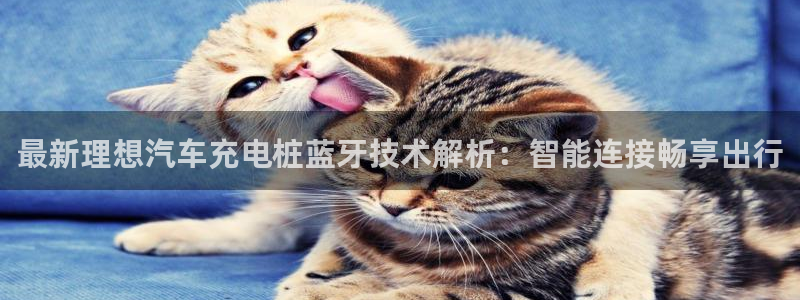 威廉体育下载地址：最新理想汽车充电桩蓝牙技术解析：智能连接畅享出行