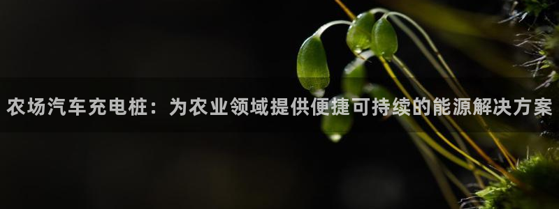 威廉希尔能算出比赛结果吗：农场汽车充电桩：为农业领域提供便捷可持续的能源解决方案