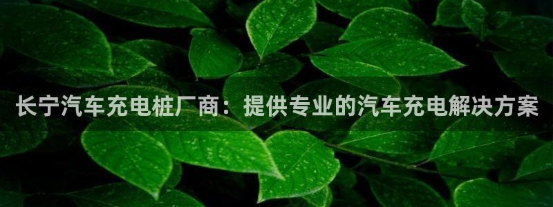 威廉希尔亚盘特点