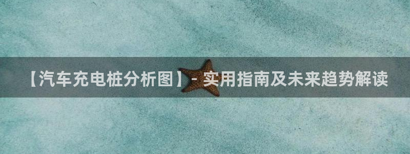 威廉希尔浏览器手机版：【汽车充电桩分析图】- 实用指南及未来趋势解读