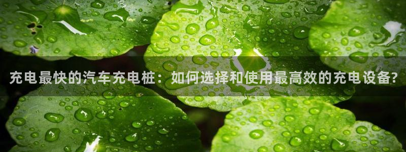 威廉希尔1.33 5 9对应赛果：充电最快的汽车充电桩：如何选择和使用最高效的充电设备?