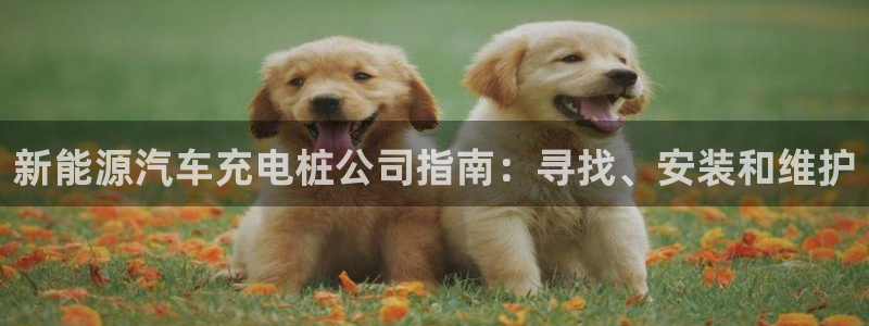 威廉足球软件下载：新能源汽车充电桩公司指南：寻找、安装和维护