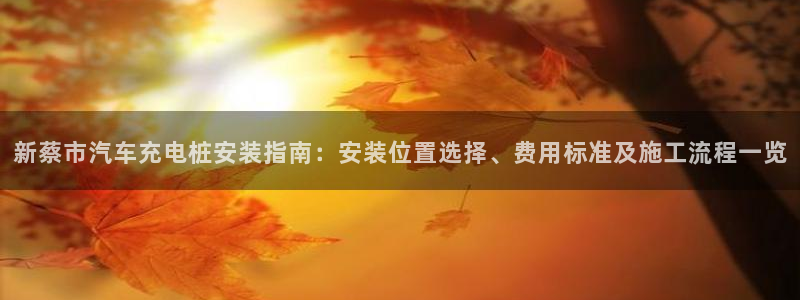 威廉希尔凯利指数怎么看：新蔡市汽车充电桩