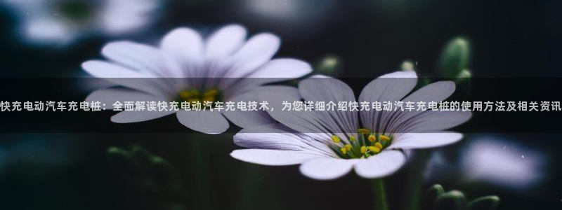 威廉澳门比较第三篇