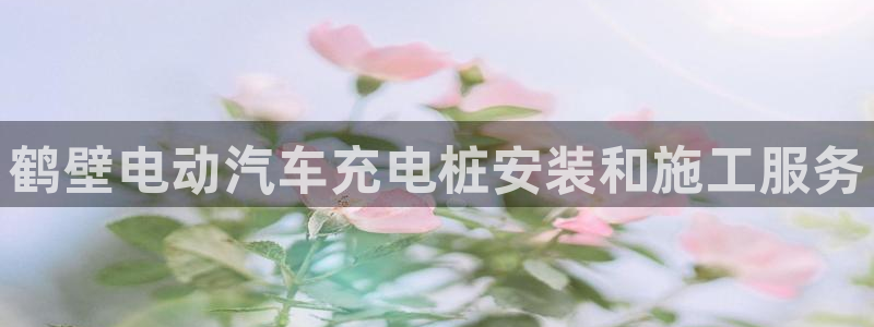 威廉希尔简称：鹤壁电动汽车充电桩安装和施工服务