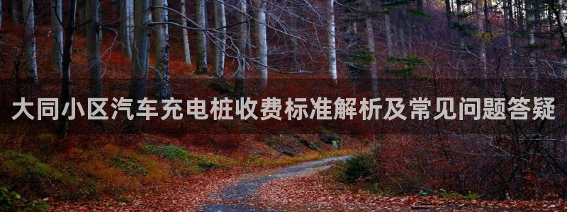 威廉指数公式：大同小区汽车充电桩收费标准解析及常见问题答疑