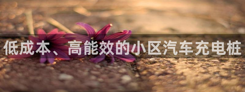 威廉希尔大小球0.91与0.8