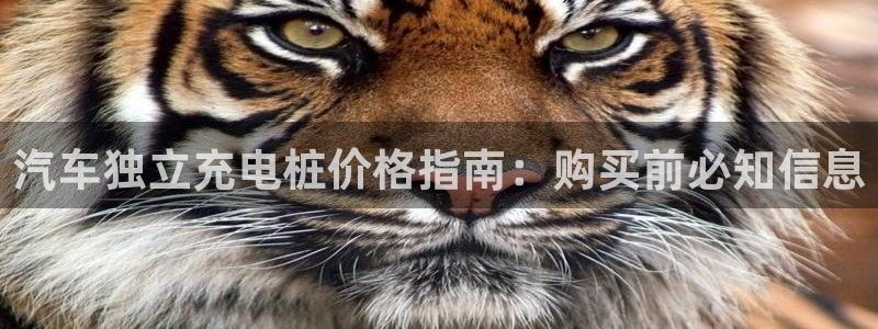威廉希尔可以在国内用吗：汽车独立充电桩价格指南：购买前必知信息