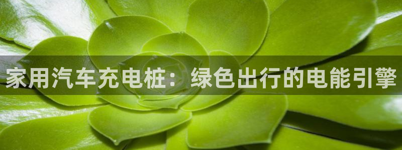 威廉希尔和立博开盘关系探讨