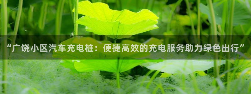 威廉希尔 1.65 4.20 4.00