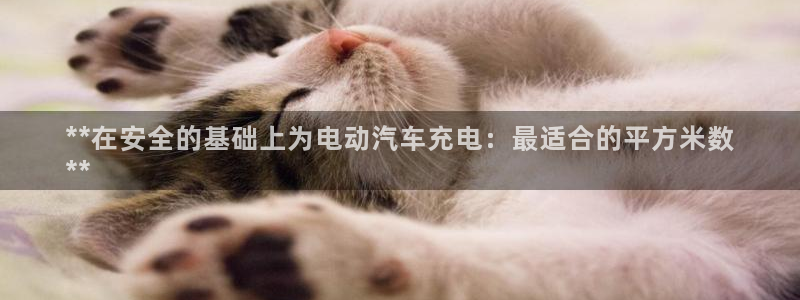 威廉希尔WilliamHill官方网站：**在安全的基础上为电动汽车充电：最适合的平方米数
**