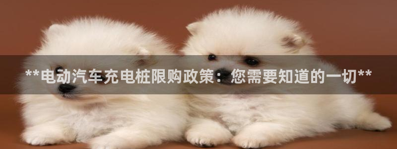 威廉希尔小球准不准