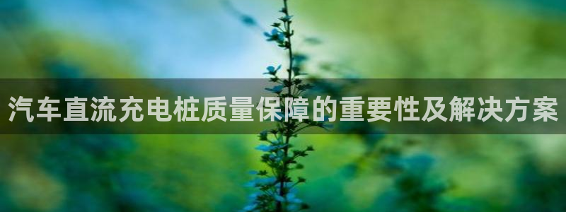 法乙威廉希尔初赔研究：汽车直流充电桩质量保障的重要性及解决方案