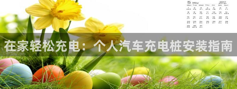 威廉国际平台介绍：在家轻松充电：个人汽车充电桩安装指南