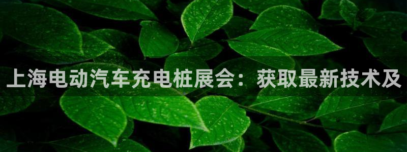 威廉国际网站是什么：上海电动汽车充电桩展会：获取最新技术及