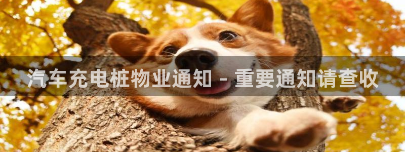 威廉希尔大小球判断方法：汽车充电桩物业通知 - 重要通知请查收