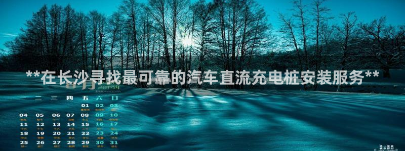 威廉国际是一个什么平台：**在长沙寻找最可靠的汽车直流充电桩安装服务**