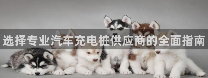 足球威廉希尔初盘还是变盘了：选择专业汽车