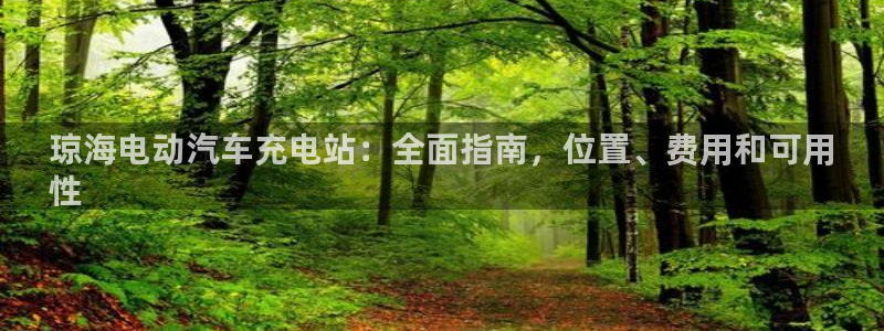 威廉希尔500欧洲：琼海电动汽车充电站：全面指南，位置、费用和可用
性