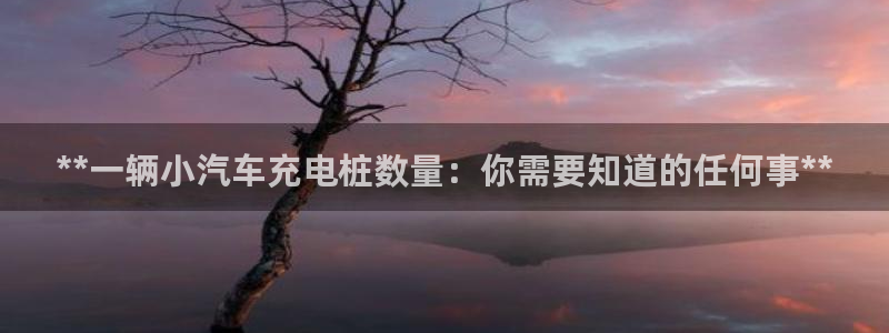 威廉希尔能预知比赛结果吗：**一辆小汽车充电桩数量：你需要知道的任何事**