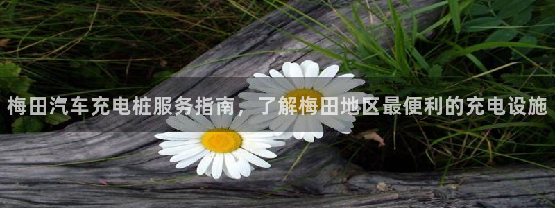 威廉国际平台介绍：梅田汽车充电桩服务指南，了解梅田地区最便利的充电设施