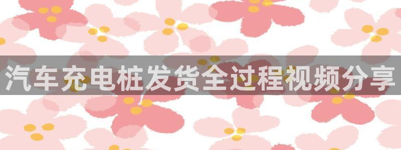 威廉希尔挪超对应赛果：汽车充电桩发货全过