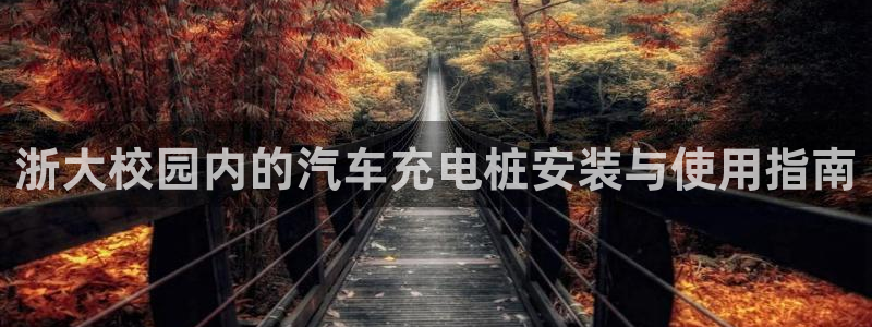威廉希而：浙大校园内的汽车充电桩安装与使用指南