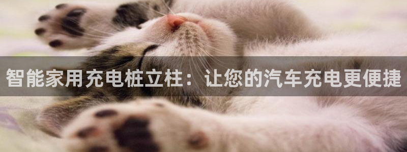 威廉与澳门盘的技巧：智能家用充电桩立柱：让您的汽车充电更便捷