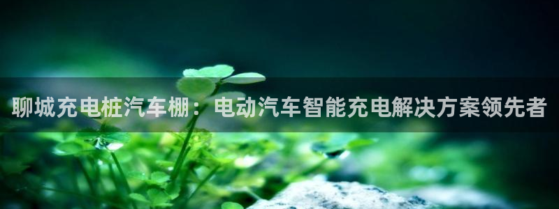 威廉指标什么意思：聊城充电桩汽车棚：电动汽车智能充电解决方案领先者