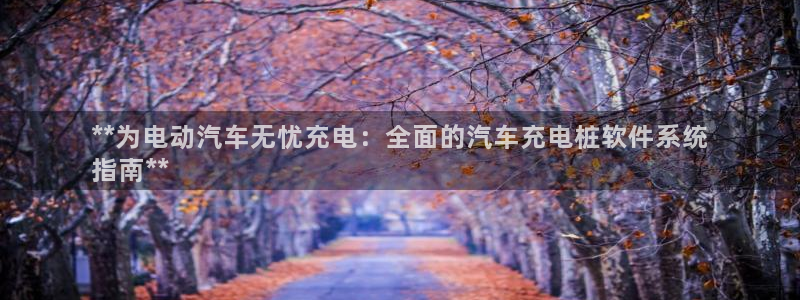 威廉希尔平局判断方法：**为电动汽车无忧充电：全面的汽车充电桩软件系统
指南**