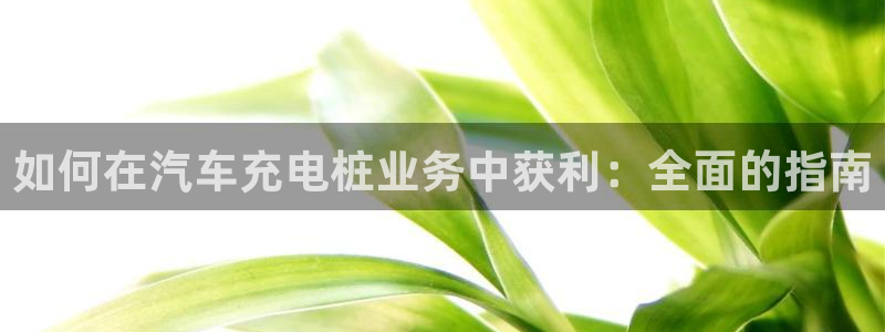 威廉希尔参考interwetten：如何在汽车充电桩业务中获利：全面的指南