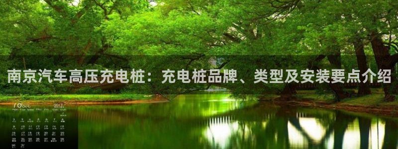 威廉希尔WilliamHill官方网站：南京汽车高压充电桩：充电桩品牌、类型及安装要点介绍