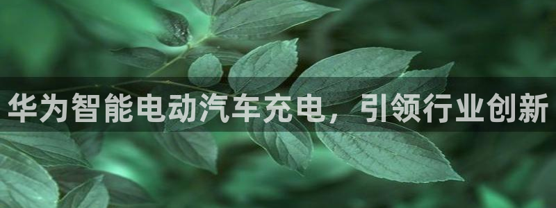 威廉国际app下载：华为智能电动汽车充电，引领行业创新