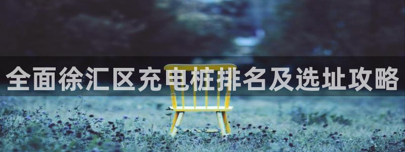 威廉希尔标准盘：全面徐汇区充电桩排名及选址攻略