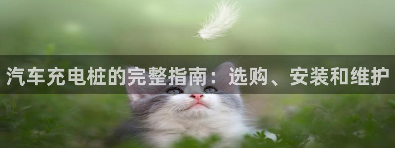 威廉希尔在中国怎么买房子：汽车充电桩的完整指南：选购、安装和维护