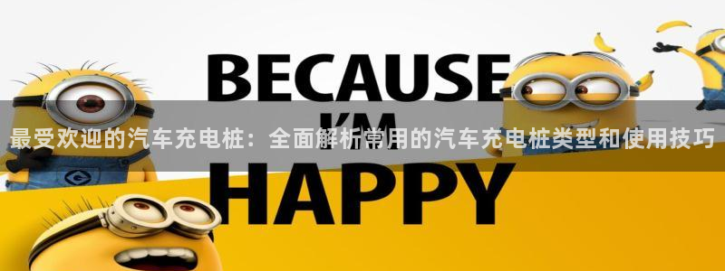 澳门与威廉主胜一致：最受欢迎的汽车充电桩：全面解析常用的汽车充电桩类型和使用技巧