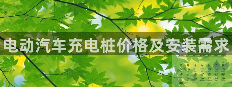 威廉希尔中国官网：电动汽车充电桩价格及安装需求