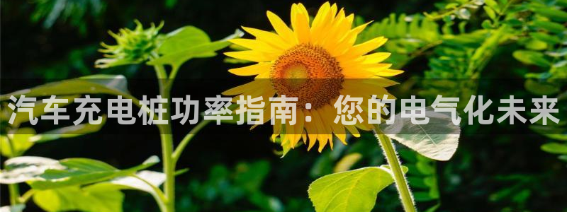 威廉希尔黑钱：汽车充电桩功率指南：您的电气化未来