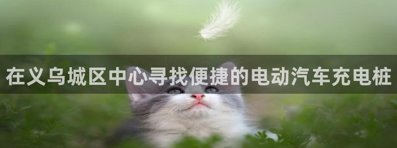 威廉希尔开盘：在义乌城区中心寻找便捷的电动汽车充电桩