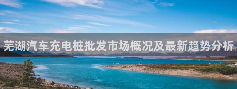 威廉官网登录：芜湖汽车充电桩批发市场概况及最新趋势分析