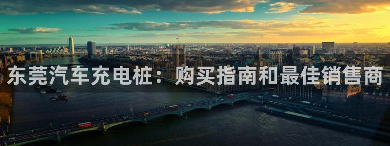 威廉希尔大小球即时指数：东莞汽车充电桩：购买指南和最佳销售商